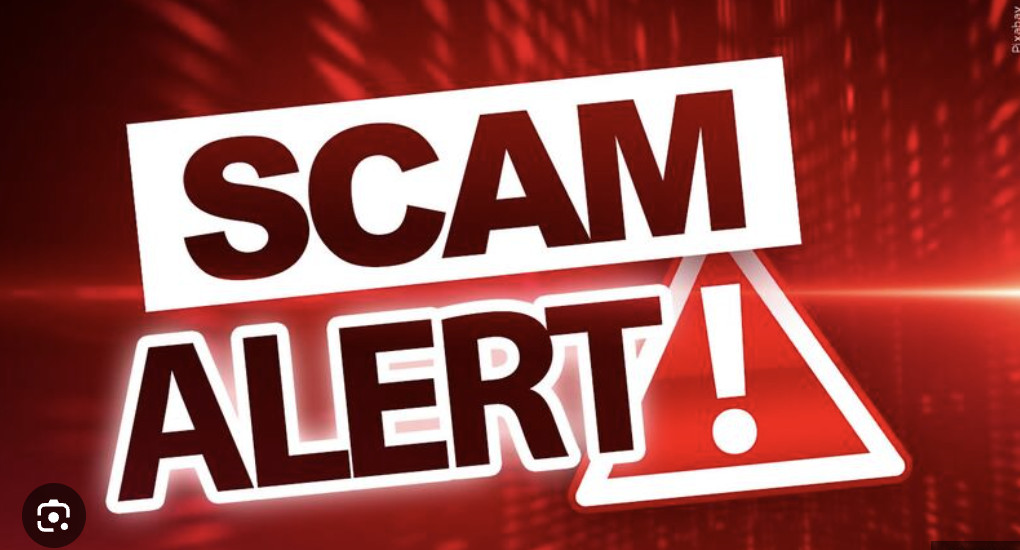 Rineplex.com Scam Review