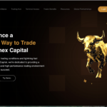 https://banexcapital.com/