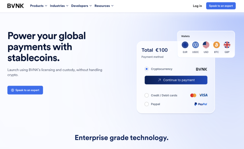 BVNK Payments Review: Legit Fintech Solution or Hidden Risk?