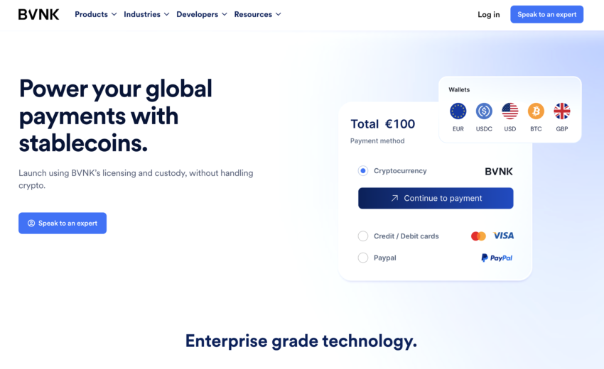 BVNK Payments Review: Legit Fintech Solution or Hidden Risk?