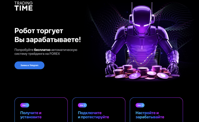 Cyber-Bot.nl Scam Concerns
