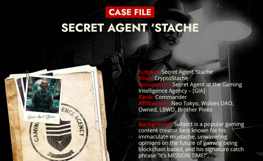 CryptoStache Review: Transparency, Influencer Risks