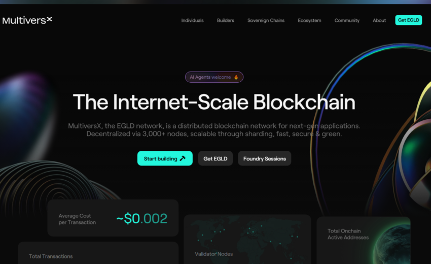 MultiversX (multiversx.com) Overview and Analysis