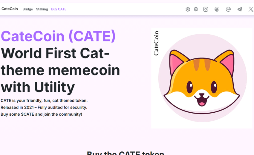 CateCoin Risk Analysis: Meme Coin Hype vs Reality
