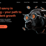 https://rsinvestlimited.com/